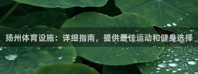意昂体育3招商电话是多少：扬州体育设施：详细指南，提