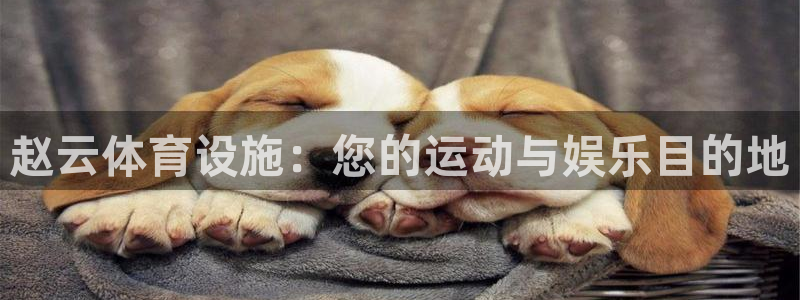 海南意昂体育3：赵云体育设施：您的运动与娱乐目的地