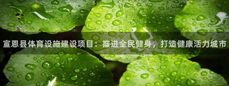 意昂体育3是干嘛的公司：宣恩县体育设施建设项目：推进