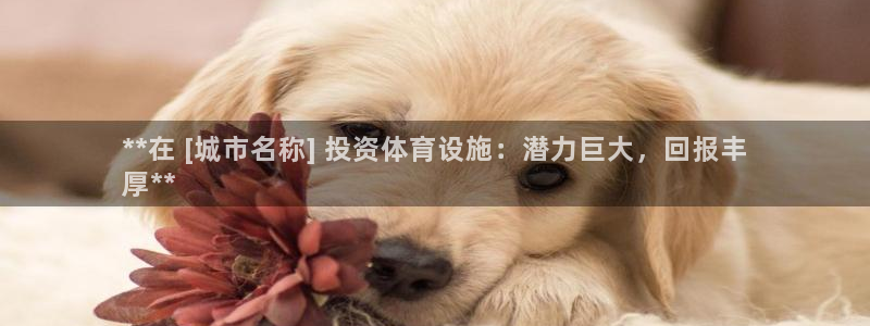 意昂3娱乐：**在 [城市名称] 投资体育设施：潜力
