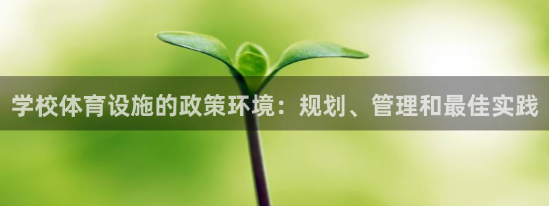 意昂3集团官网首页：学校体育设施的政策环境：规划、管