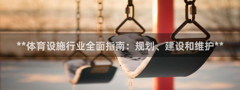 意昂体育3软件：**体育设施行业全面指南：规划、建设