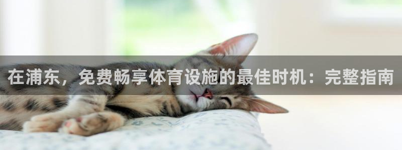 意昂体育3招商电话地址：在浦东，免费畅享体育设施的最