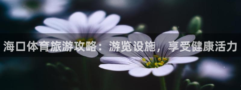 意昂3娱乐40996：海口体育旅游攻略：游览设施，享