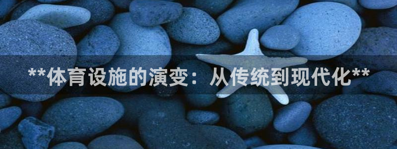 意昂3集团：**体育设施的演变：从传统到现代化**
