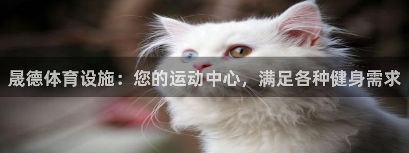 意昂3科技：晟德体育设施：您的运动中心，满足各种健身
