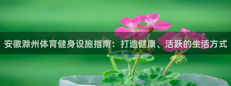 意昂体育3：安徽滁州体育健身设施指南：打造健康、活跃