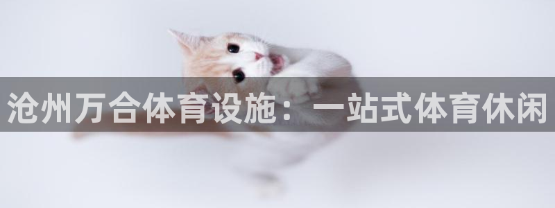 意昂体育3平台是正规平台吗知乎：沧州万合体育设施：一