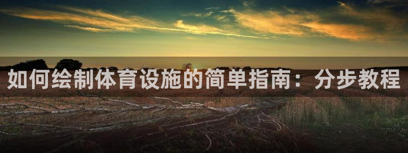 意昂3娱乐下载：如何绘制体育设施的简单指南：分步教程