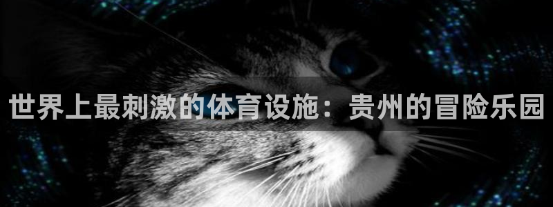 意昂3娱乐是那个系列的台子：世界上最刺激的体育设施：