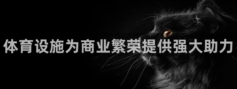意昂体育3平台注册：体育设施为商业繁荣提供强大助力
