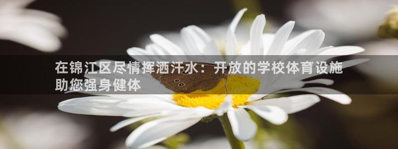 意昂3代理：在锦江区尽情挥洒汗水：开放的学校体育设施
