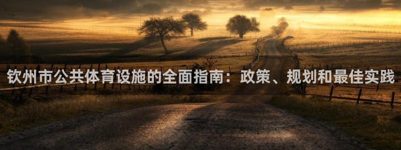 意昂体育3招商电话是多少啊：钦州市公共体育设施的全面