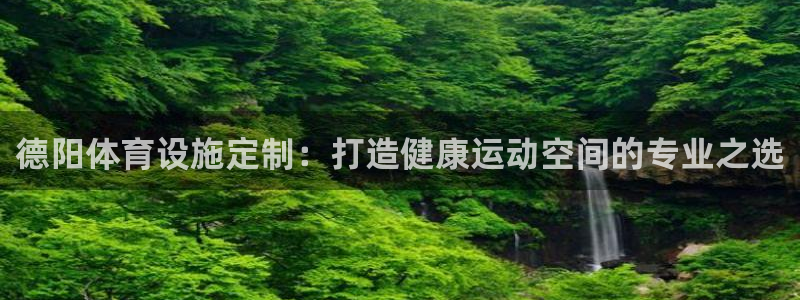 意昂3五金厂：德阳体育设施定制：打造健康运动空间的专