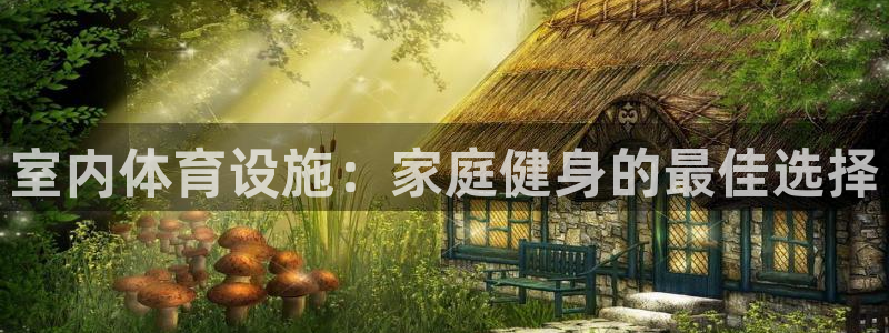 意昂3科技：室内体育设施：家庭健身的最佳选择