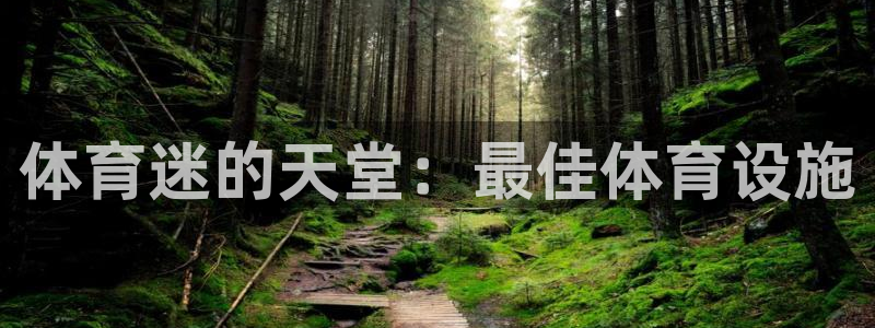 意昂3娱乐网站：体育迷的天堂：最佳体育设施