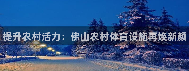 意昂体育3平台注册要钱吗：提升农村活力：佛山农村体育