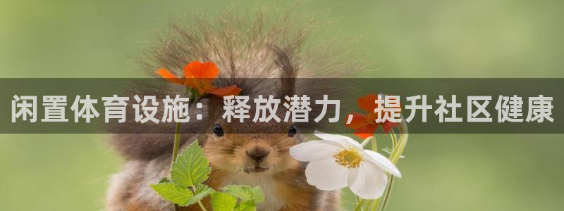 意昂3娱乐40996：闲置体育设施：释放潜力，提升社