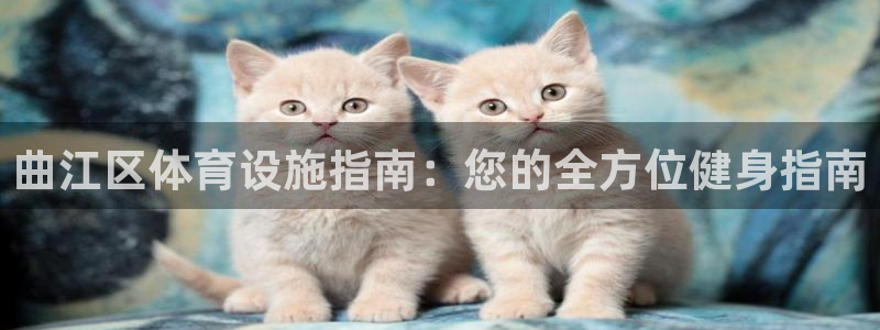德国意昂3集团：曲江区体育设施指南：您的全方位健身指