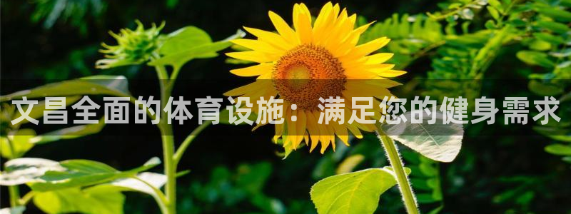 意昂体育3平台APP：文昌全面的体育设施：满足您的健