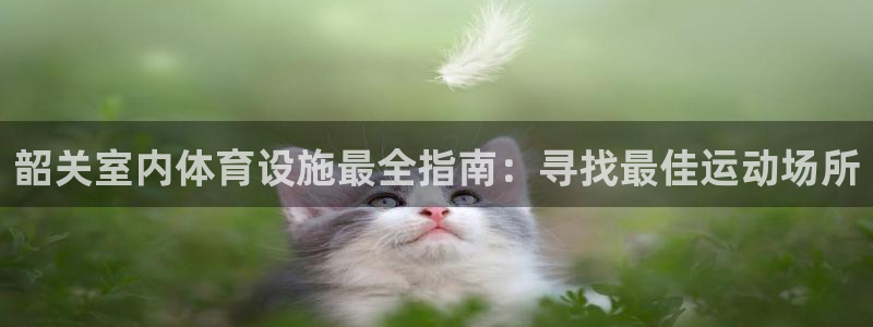 意昂体育3招商电话地址是多少：韶关室内体育设施最全指