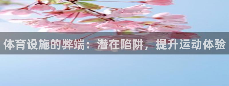 意昂体育3招商电话号码：体育设施的弊端：潜在陷阱，提