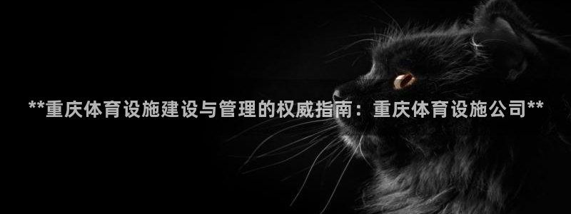 意昂平台体育：**重庆体育设施建设与管理的权威指南：