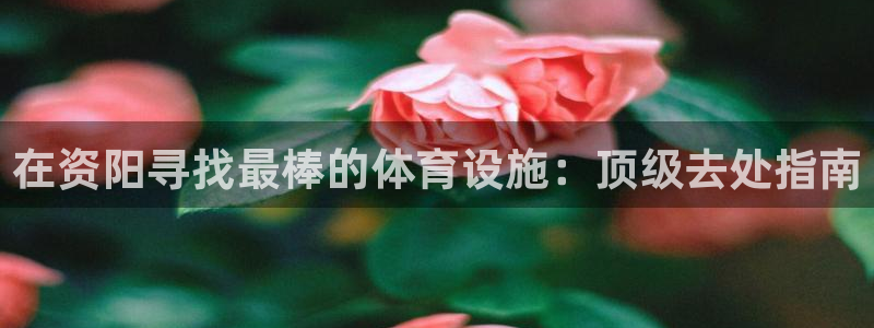 意昂3官网：在资阳寻找最棒的体育设施：顶级去处指南