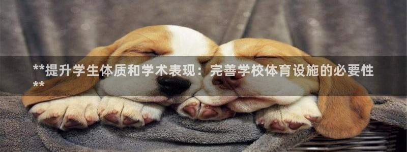 意昂3集团官网网址：**提升学生体质和学术表现：完善