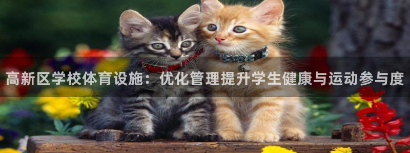 意昂体育3招商电话号码：高新区学校体育设施：优化管理