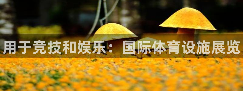 意昂体育3平台注册流程视频：用于竞技和娱乐：国际体育