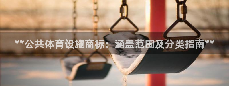 意昂3官网：**公共体育设施商标：涵盖范围及分类指南
