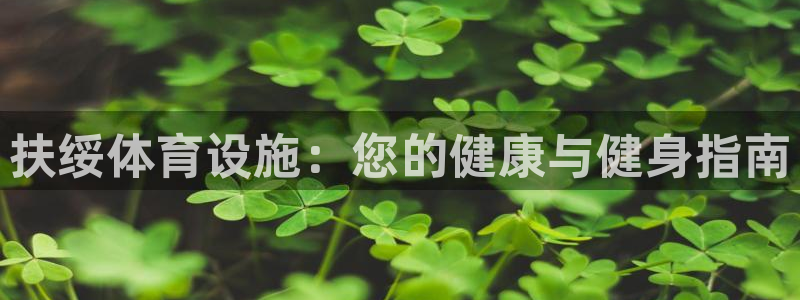 意昂3五金厂：扶绥体育设施：您的健康与健身指南