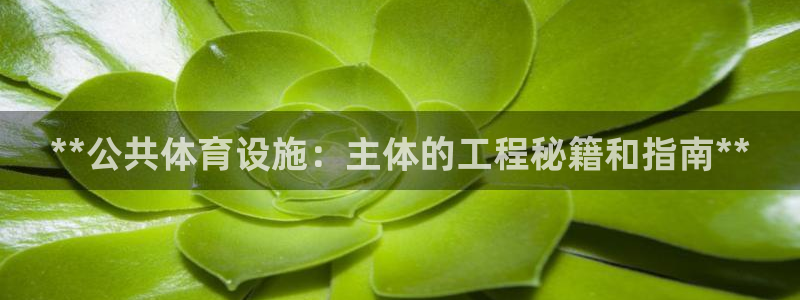 意昂3集团官网首页：**公共体育设施：主体的工程秘籍