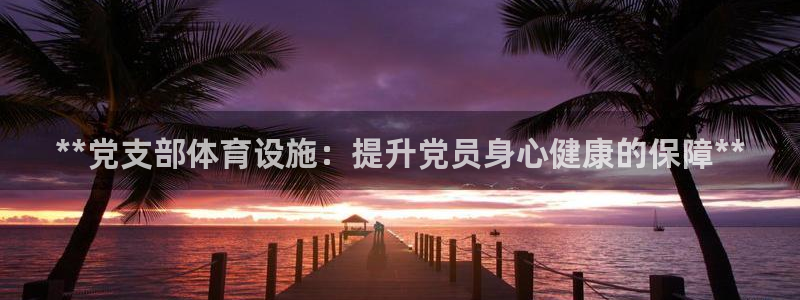 意昂体育3平台注册流程视频：**党支部体育设施：提升