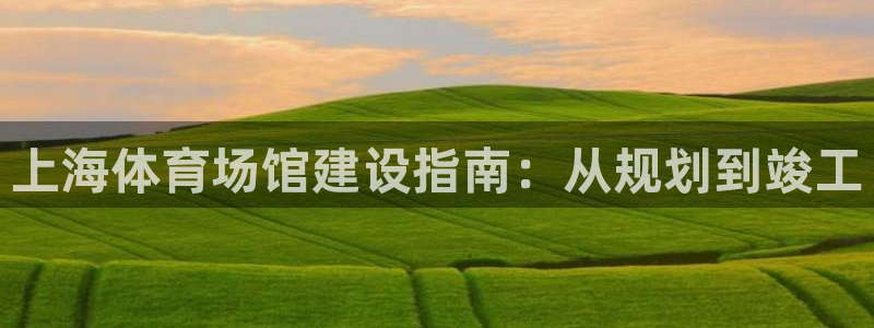 意昂3娱乐代理怎么样：上海体育场馆建设指南：从规划到