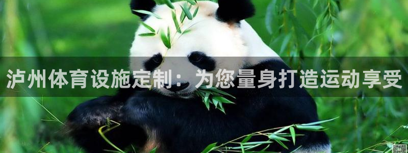 意昂3娱乐网站：泸州体育设施定制：为您量身打造运动享