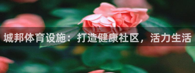 意昂3娱乐下载：城邦体育设施：打造健康社区，活力生活