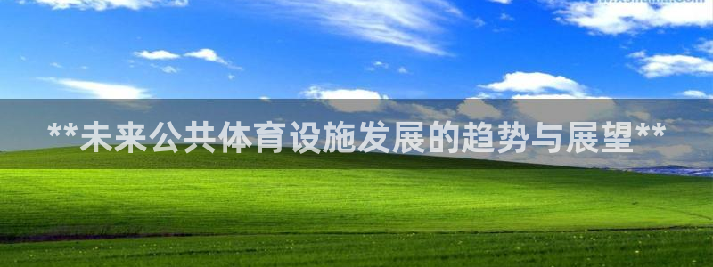 德国意昂3集团：**未来公共体育设施发展的趋势与展望