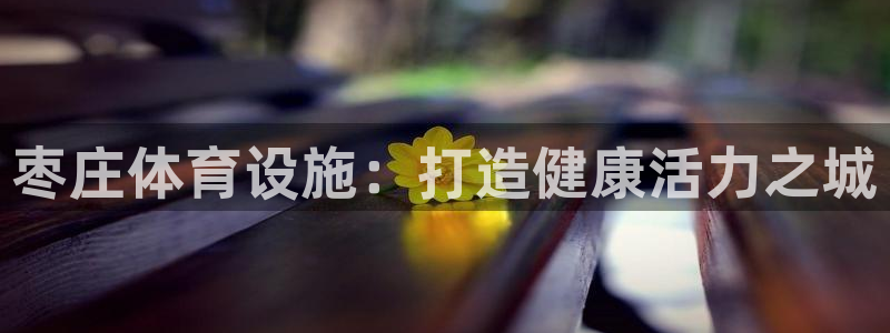 意昂体育3娱乐：枣庄体育设施：打造健康活力之城
