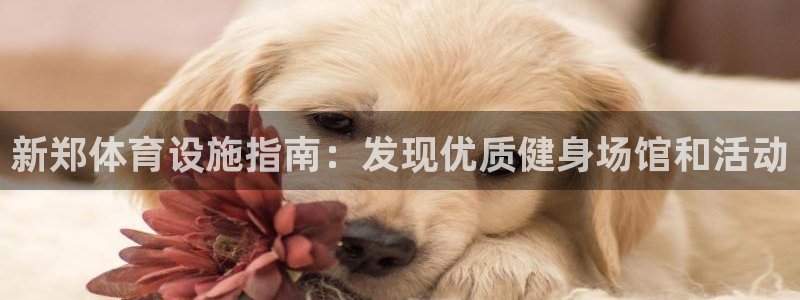 意昂体育3官方客服电话：新郑体育设施指南：发现优质健