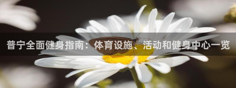 意昂体育3招商电话号码查询是多少：普宁全面健身指南：