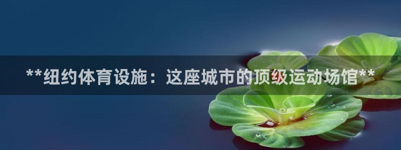 注册意昂3：**纽约体育设施：这座城市的顶级运动场馆