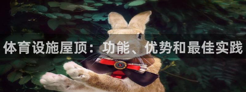 意昂3集团E.ON：体育设施屋顶：功能、优势和最佳实