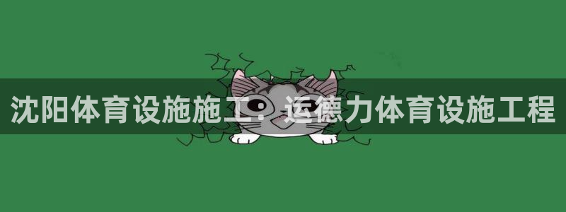 意昂体育3官方客服电话：沈阳体育设施施工：运德力体育