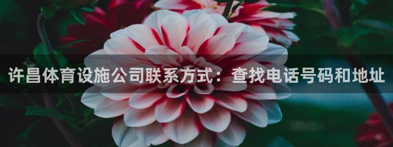 意昂3娱乐下载：许昌体育设施公司联系方式：查找电话号码和地址