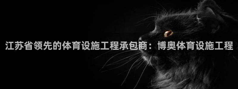 意昂体育3招商电话是多少啊：江苏省领先的体育设施工程