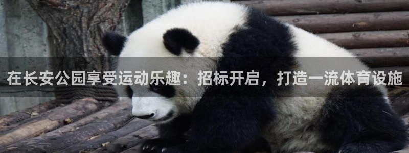 意昂体育3招商电话地址：在长安公园享受运动乐趣：招标