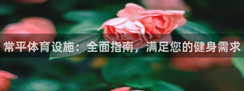 意昂体育3招商：常平体育设施：全面指南，满足您的健身