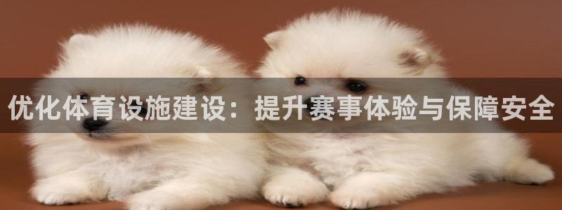意昂体育3是干嘛的公司
